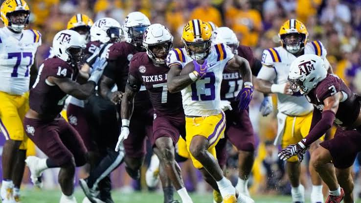 LSU rebounds to take out Texas A&M, 35-6 | wwltv.com