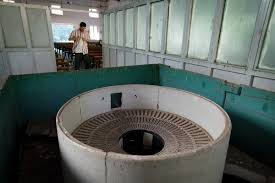 Cultivating Vultures to Restore a ...