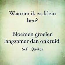 Quotes Voor Kleine Mensen Ware Woorden Grappige Teksten Mooie Woorden
