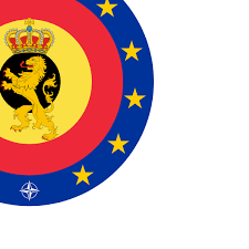 Als kind van een franstalige moeder en een nederlandstalige vader spreekt hij naast zijn moedertaal frans ook nederlands. Belgian Armed Forces Wikipedia
