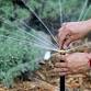 Comprehensive Irrigation for Native Plants with Tim Becker