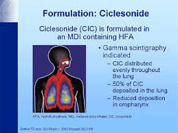 Image result for Inhaled Ciclesonide