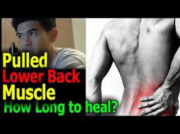 A muscle strain can also be referred to as a pulled muscle and it occurs when a muscle has been. How Long For A Pulled Muscle In Lower Back To Heal Yahoo Answers Questions Answered Youtube