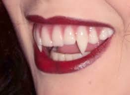 First, a dental assistant would clean the canine teeth off with supersmile whitening toothpaste. Buy Hobbyfx Teeth Fangs Customfangs Co Uk Hobbyfx Co Uk