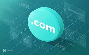 Certain domain name registrations are as low as just $2.99 per year. What Is A Domain Name Domains Explained For Beginners