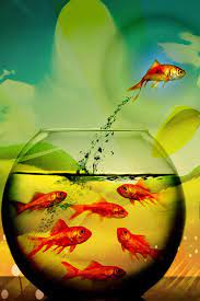 The great collection of iphone 6s fish wallpapers for desktop, laptop and mobiles. Fish Out Of Water Abstract Iphone Wallpaper Fish Painting Iphone Wallpaper