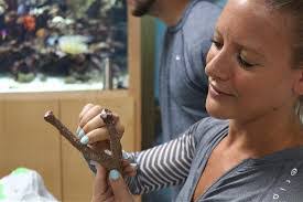 Shelly Toth's Instagram, Twitter & Facebook