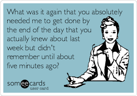 Pin By Jocelyn Gibbons On Say What Work Quotes Funny Work Quotes Funny Quotes