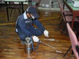 Best Rodent Pest Control Service In Odisha Termite Control Pest Control Pest Control Services