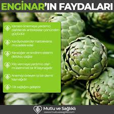 Enginar Faydalari Nelerdir Enginarin Besin Degerleri Enginar Saglikli Yasam Saglik