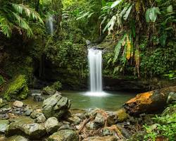 Image of El Yunque National Forest, Puerto Rico