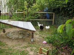 Sandbad Fur Huhner Chickenhouses Huhner Huhner Im Garten Huhner Tranke