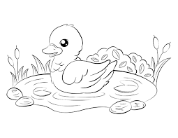 Free Printable Duckling Coloring Page Download It At Https Museprintables Com Download Coloring Pag Summer Coloring Pages Coloring Pages Easy Coloring Pages