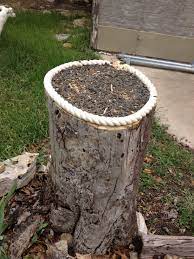 Bird Feeder Using Rope And A Tree Stump My Dad S Brilliant Idea Garden Ideas For Small Yards Garden Animals Tree Stump