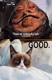 Visit The Post For More Grumpy Cat Meme Funny Cat Memes Grumpy Cat