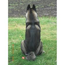 Akita puppies for sale bc. Liutikas Akitas Akita Breeder In Burns Lake British Columbia