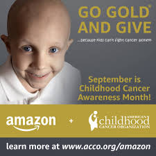 American Childhood Cancer Organization