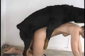 سكس حيوانات مع بنت Archives - نيك عرب