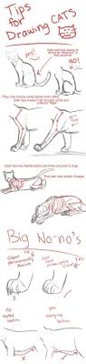 Pin By Saga Kun On Character Animals Ideas And Tips Art Reference Poses Drawings Animal Drawings
