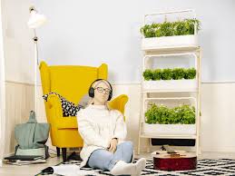 I love the idea of growing a home garden, but i don't have much of a green thumb. Click And Grow Review Indoor Smart Gardening Design Home Design