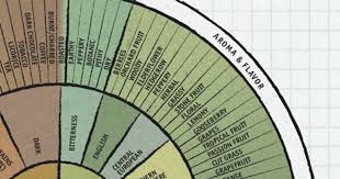 Daily Infographic Beer Edition The Beer Flavor And Aroma