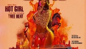It coincided with the release of the album and was supported by a music video featuring cameo appearances from taraji p. Megan Thee Stallion Do It On The Tip Lyrics Lyricsfa Com