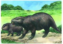 The reason why so many prehistoric animals — mastodons, mammoths (whose name means huge) and many dinosaurs — were so big is something of a mystery. Extinct Giant Rodents Family Tree Rewritten By New Fossil Finds Live Science