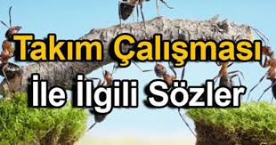 takim calismasi sozleri takim calismasi ile ilgili sozler takim calismasi taki guzel soz