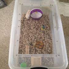 Diy Hamster Cage Made From Large Plastic Bin Much More Affordable Than A Large Aquarium Hamster Diy Cage Hamster Cages Plastic Hamster Cage