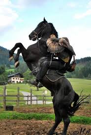 There Is Entirely Too Much Awesome In This Picture He Has A Rearing Black Horse And A Trained Hawk Wow Horses Horse Rearing Horse Love