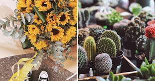Flower delivery by local florists in glasgow. The Best Places To Buy Flowers Plants In Edinburgh