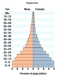 what are the different types of population pyramids