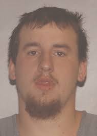 Heath Johnston agrees to second-degree murder plea