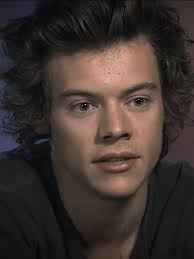 Understanding the Larry Stylinson Fan Phenomenon