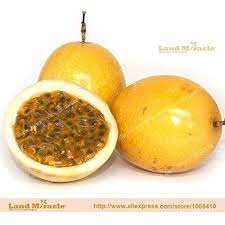 S p 8 6 o n s o r 0 e u d d 6 0 z r r o. Tropical Fruit Trees Passion Fruit Planting 20pcs Tropical Organic Passion Fruit Fruit Tree Seeds Delicious Juicy Yellow Passionfruit Buy Online In Lebanon At Lebanon Desertcart Com Productid 90457600