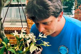 Importance of plants in nature