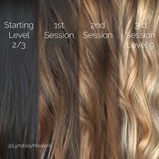 From Black To Blonde With Balayage Sessions And Olaplex For My Next Venture Into Blonde Hood Black To Blonde Hair Dark To Light Hair Balayage Hair