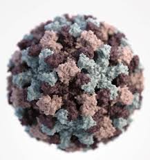 It can spread quickly in close quarters such as. Viral Benefits Murine Norovirus Can Protect The Gut Via Interferon Lab Animal