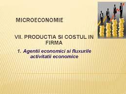 Microeconomie Vi Comportamentul Consumatorului 1 Bunurile Economice Si