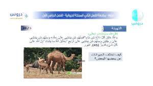 الرابع الابتدائي الفصل الدراسي الأول العلوم المملكة الحيوانية Youtube