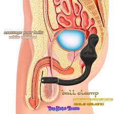 STL file Male Prostate best way king walking Stimulation Anal Plug With  Balls Ring Butt Plug For Man aph-22 3d print cnc ♂️・3D printing idea to  download・Cults