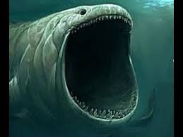 World S Largest Biggest And Scariest Sharks Sharks Scary Shark Largest Ocean