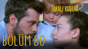 Pin En Yarali Kuslar