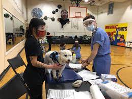 Последние твиты от southside pet clinic (@southsidevets). Southside Healthy Pet Clinic Home Facebook
