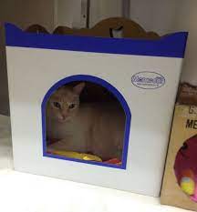 咪咪越洋記 olivia s fancy cats world 痞客邦 toy chest home decor decor