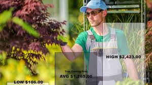 Includes planning, equipment and material acquisition, area preparation and protection, setup and cleanup. How Much Does It Cost To Plant A Tree Phoenix Trim A Tree Llc