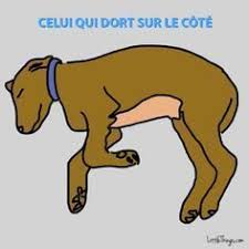 Figurez Vous Que Selon La Facon Qu Ils Font Dodo C Est Significatif De Leur Personnalite Voici Un Petit Guide Pour Dec Chien Chiens Endormis Animal Domestique