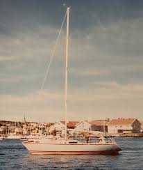 Image result for Eclipse Blue 1982 Fleet