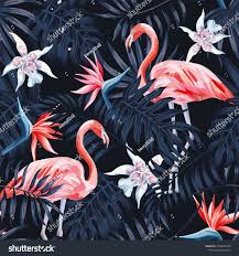 Tropical Birds And Flowers Wallpaper Pin On Shutterstock Photos