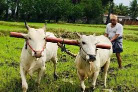 images?q=tbn:ANd9GcRSGlDlA-FlyN-zRGV2ZMq